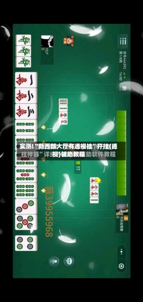 实测!“新西部大厅有透视挂	”开挂(透视)辅助教程-第1张图片