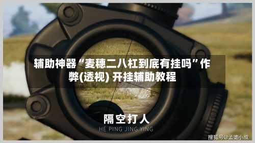 辅助神器“麦穗二八杠到底有挂吗”作弊(透视) 开挂辅助教程