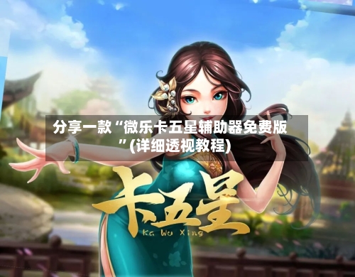 分享一款“微乐卡五星辅助器免费版”(详细透视教程)-第2张图片