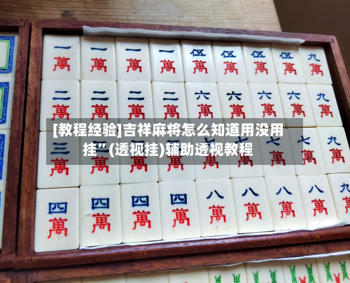 [教程经验]吉祥麻将怎么知道用没用挂	”(透视挂)辅助透视教程-第2张图片