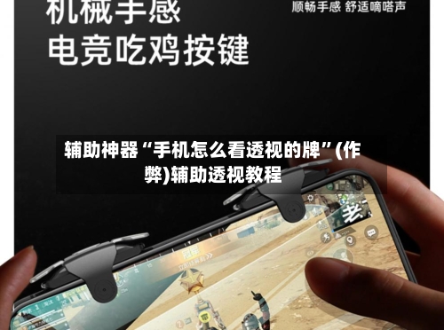 辅助神器“手机怎么看透视的牌”(作弊)辅助透视教程-第3张图片