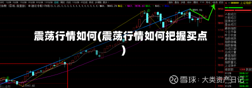 震荡行情如何(震荡行情如何把握买点)