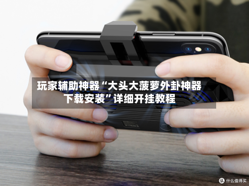 玩家辅助神器“大头大菠萝外卦神器下载安装	”详细开挂教程-第2张图片
