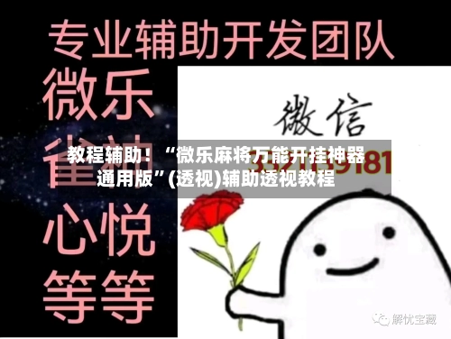 教程辅助！“微乐麻将万能开挂神器通用版”(透视)辅助透视教程-第3张图片