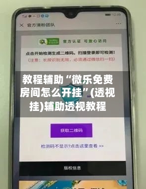 教程辅助“微乐免费房间怎么开挂”(透视挂)辅助透视教程-第3张图片
