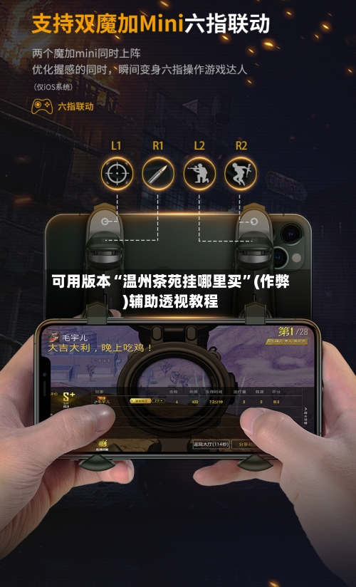 可用版本“温州茶苑挂哪里买”(作弊)辅助透视教程-第2张图片