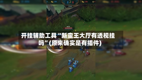 开挂辅助工具“新蛮王大厅有透视挂吗”(原来确实是有插件)-第3张图片