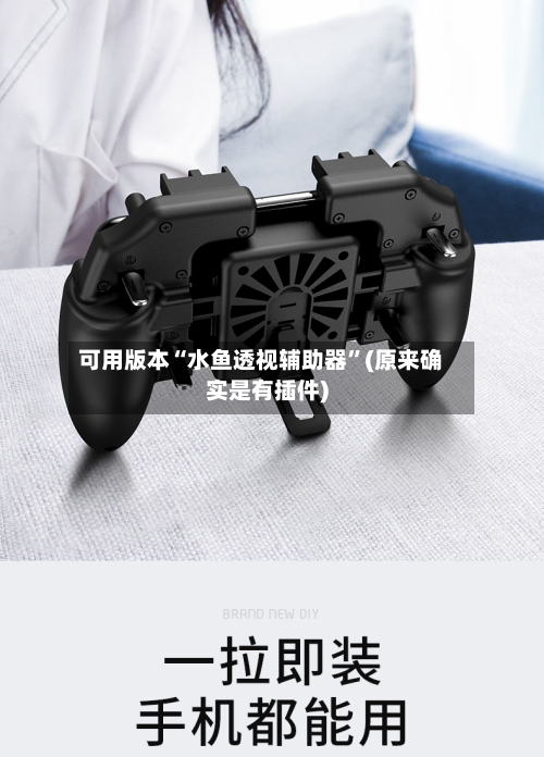 可用版本“水鱼透视辅助器”(原来确实是有插件)-第2张图片