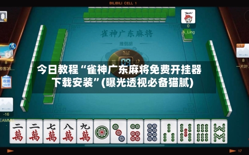 今日教程“雀神广东麻将免费开挂器下载安装”(曝光透视必备猫腻)-第3张图片