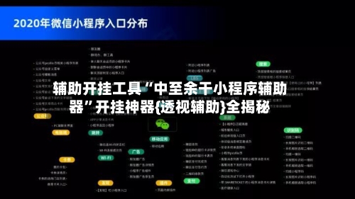 辅助开挂工具“中至余干小程序辅助器	”开挂神器{透视辅助}全揭秘-第2张图片
