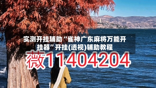 实测开挂辅助“雀神广东麻将万能开挂器	”开挂(透视)辅助教程-第2张图片