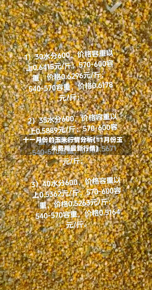 十一月份的玉米行情分析(11月份玉米费用最新行情)