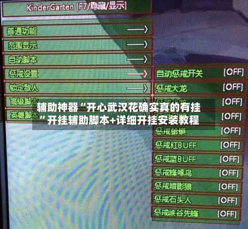 辅助神器“开心武汉花确实真的有挂”开挂辅助脚本+详细开挂安装教程-第2张图片