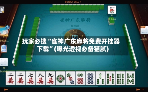 玩家必搜“雀神广东麻将免费开挂器下载”(曝光透视必备猫腻)-第3张图片