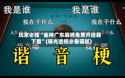 玩家必搜“雀神广东麻将免费开挂器下载”(曝光透视必备猫腻)-第2张图片