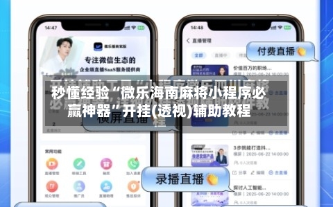秒懂经验“微乐海南麻将小程序必赢神器”开挂(透视)辅助教程-第2张图片