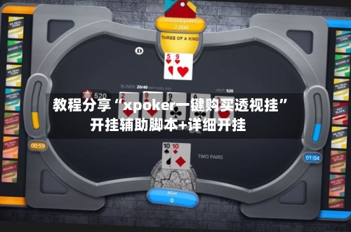 教程分享“xpoker一键购买透视挂	”开挂辅助脚本+详细开挂-第2张图片