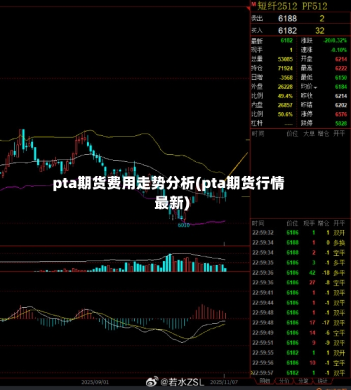 pta期货费用走势分析(pta期货行情最新)