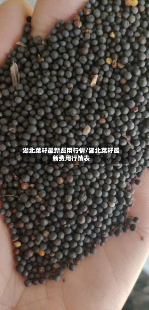 湖北菜籽最新费用行情/湖北菜籽最新费用行情表