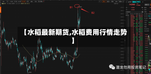 【水稻最新期货,水稻费用行情走势】