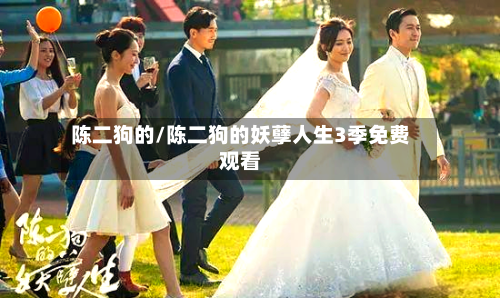 陈二狗的/陈二狗的妖孽人生3季免费观看-第3张图片