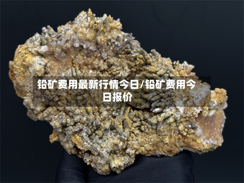 铅矿费用最新行情今日/铅矿费用今日报价