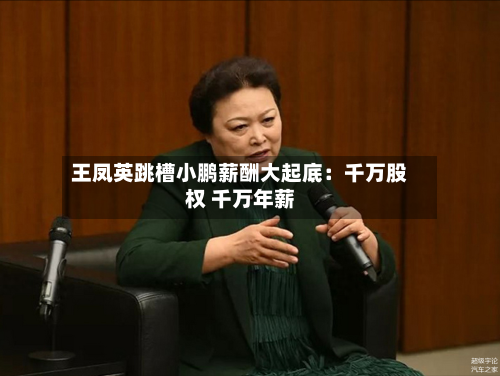 王凤英跳槽小鹏薪酬大起底：千万股权 千万年薪-第2张图片