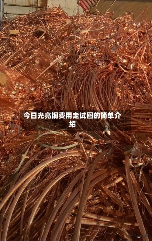 今日光亮铜费用走试图的简单介绍