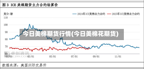 今日美棉期货行情(今日美棉花期货)-第3张图片