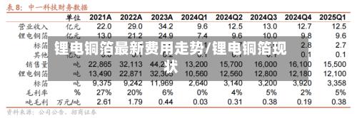 锂电铜箔最新费用走势/锂电铜箔现状