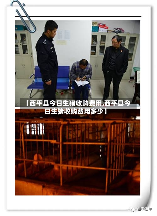 【西平县今日生猪收购费用,西平县今日生猪收购费用多少】