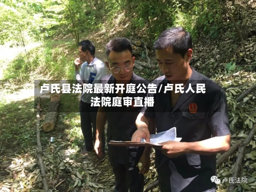 卢氏县法院最新开庭公告/卢氏人民法院庭审直播-第3张图片