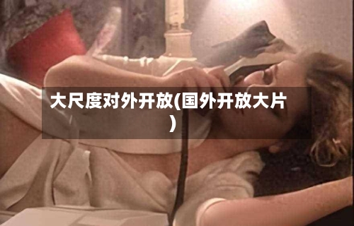 大尺度对外开放(国外开放大片)