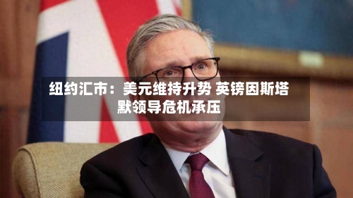 纽约汇市:美元维持升势 英镑因斯塔默领导危机承压-第2张图片