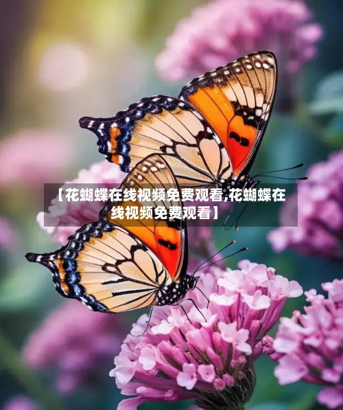【花蝴蝶在线视频免费观看,花蝴蝶在线视频免费观看】