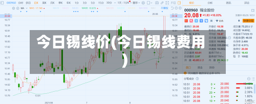 今日锡线价(今日锡线费用)