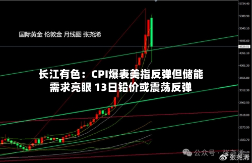 长江有色：CPI爆表美指反弹但储能需求亮眼 13日铅价或震荡反弹