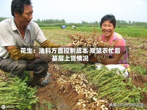 花生：油料方面控制成本 观望农忙后基层上货情况