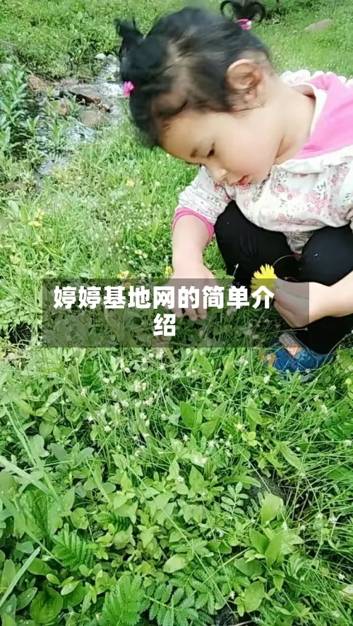 婷婷基地网的简单介绍-第3张图片