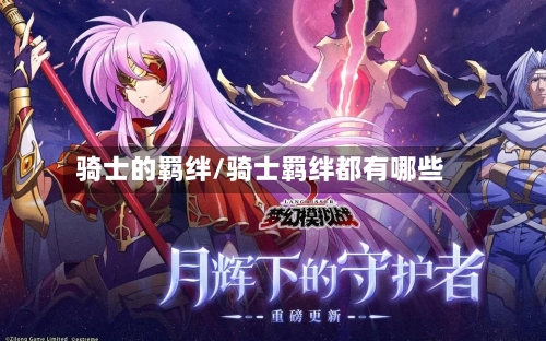 骑士的羁绊/骑士羁绊都有哪些-第3张图片
