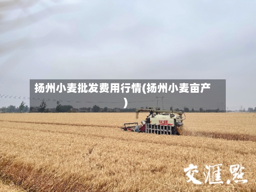 扬州小麦批发费用行情(扬州小麦亩产)-第2张图片
