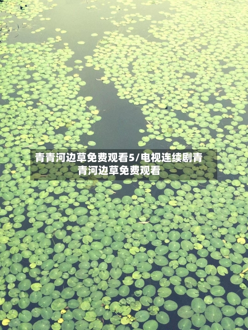 青青河边草免费观看5/电视连续剧青青河边草免费观看-第2张图片