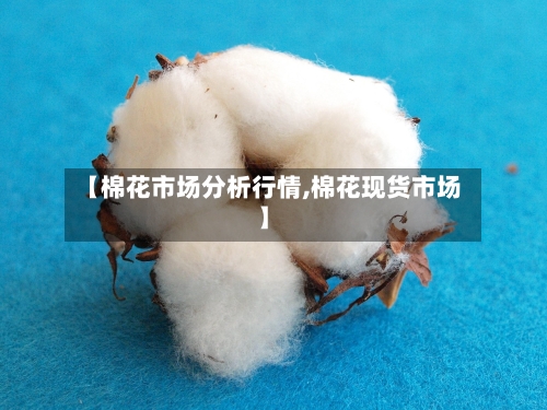 【棉花市场分析行情,棉花现货市场】-第2张图片