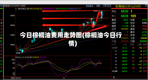 今日棕榈油费用走势图(棕榈油今日行情)
