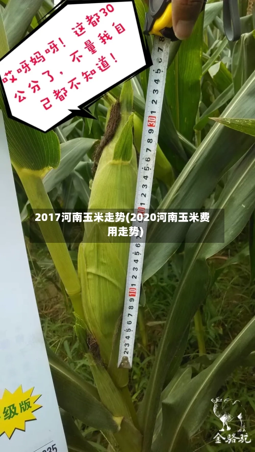 2017河南玉米走势(2020河南玉米费用走势)-第2张图片