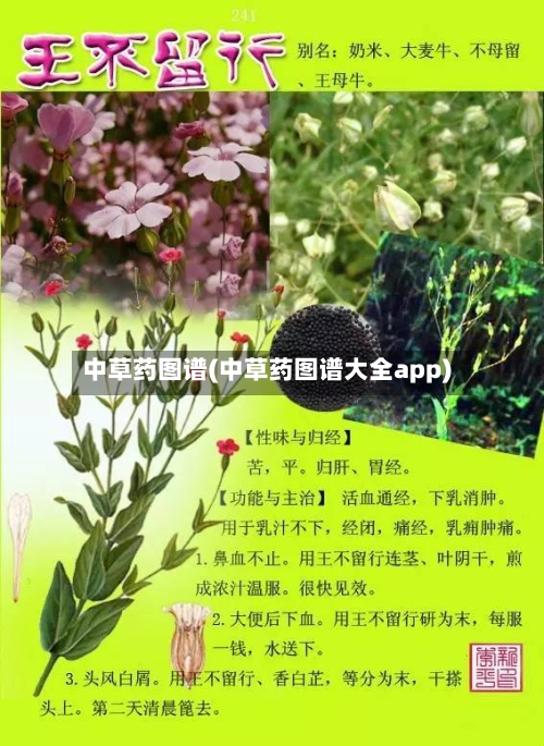 中草药图谱(中草药图谱大全app)-第3张图片
