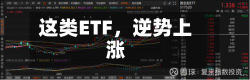 这类ETF	，逆势上涨-第2张图片