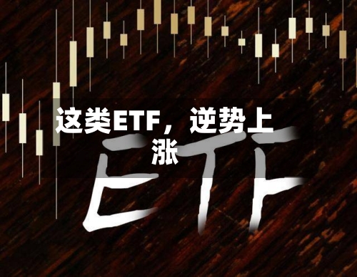 这类ETF，逆势上涨