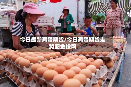今日最新鸡蛋期货/今日鸡蛋期货走势图金投网