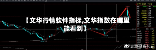 【文华行情软件指标,文华指数在哪里能看到】-第2张图片